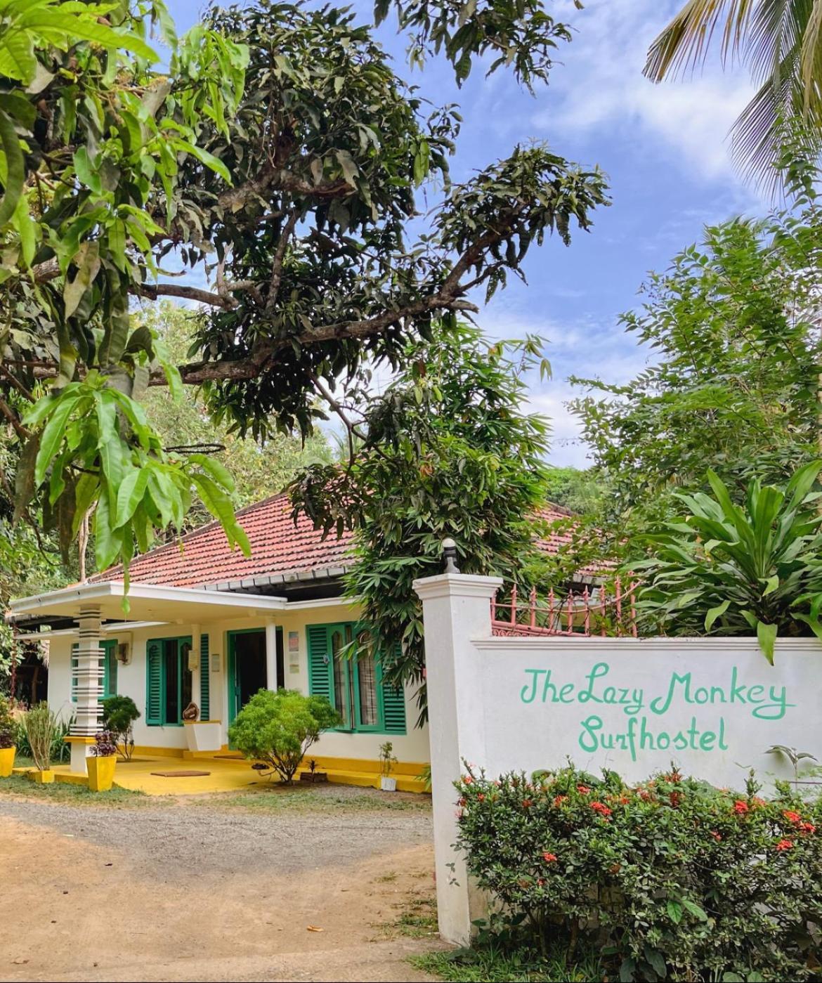 דיקוולה Lazy Monkey Surfhostel - Sri Lanka מראה חיצוני תמונה
