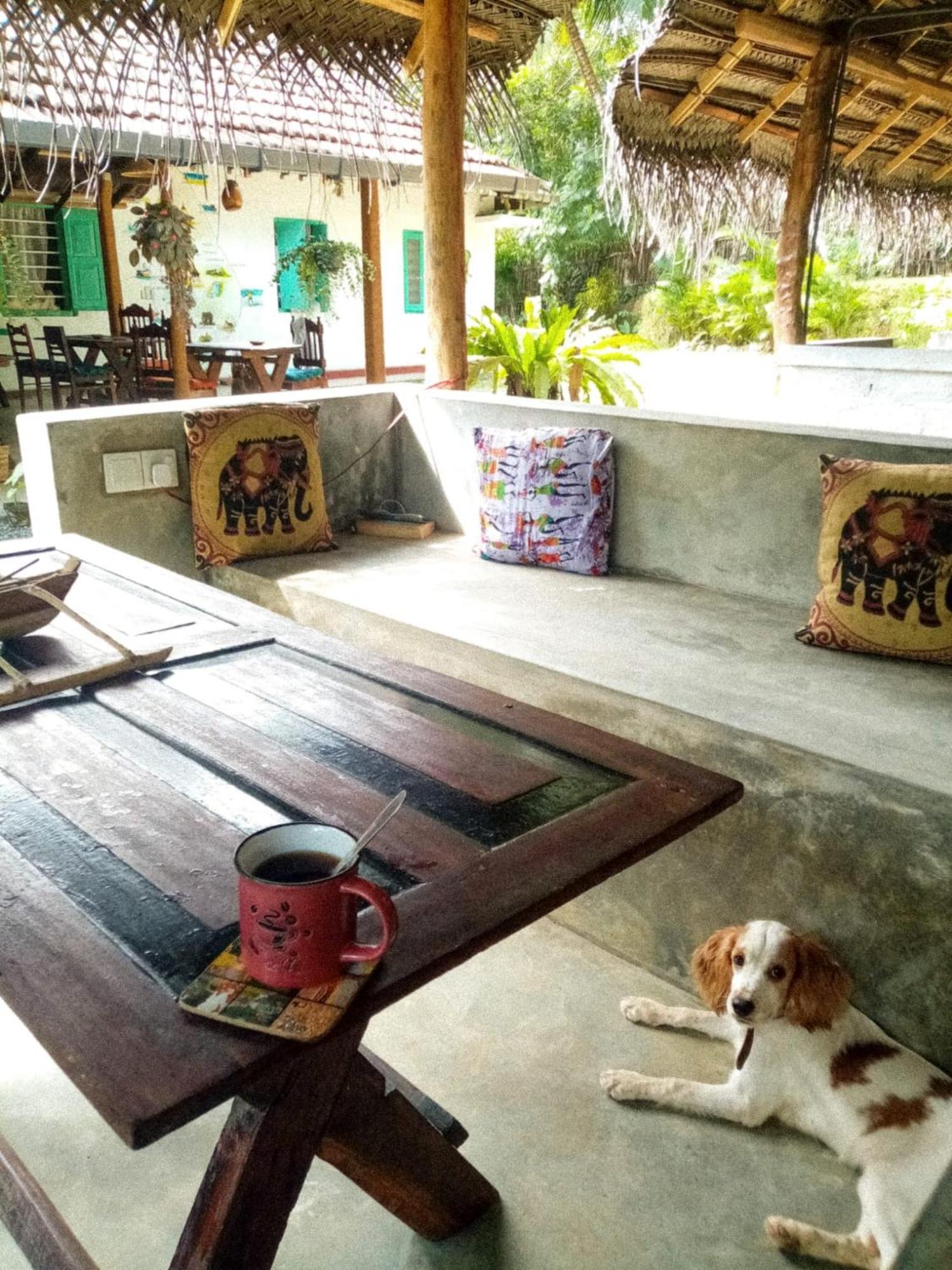 דיקוולה Lazy Monkey Surfhostel - Sri Lanka מראה חיצוני תמונה