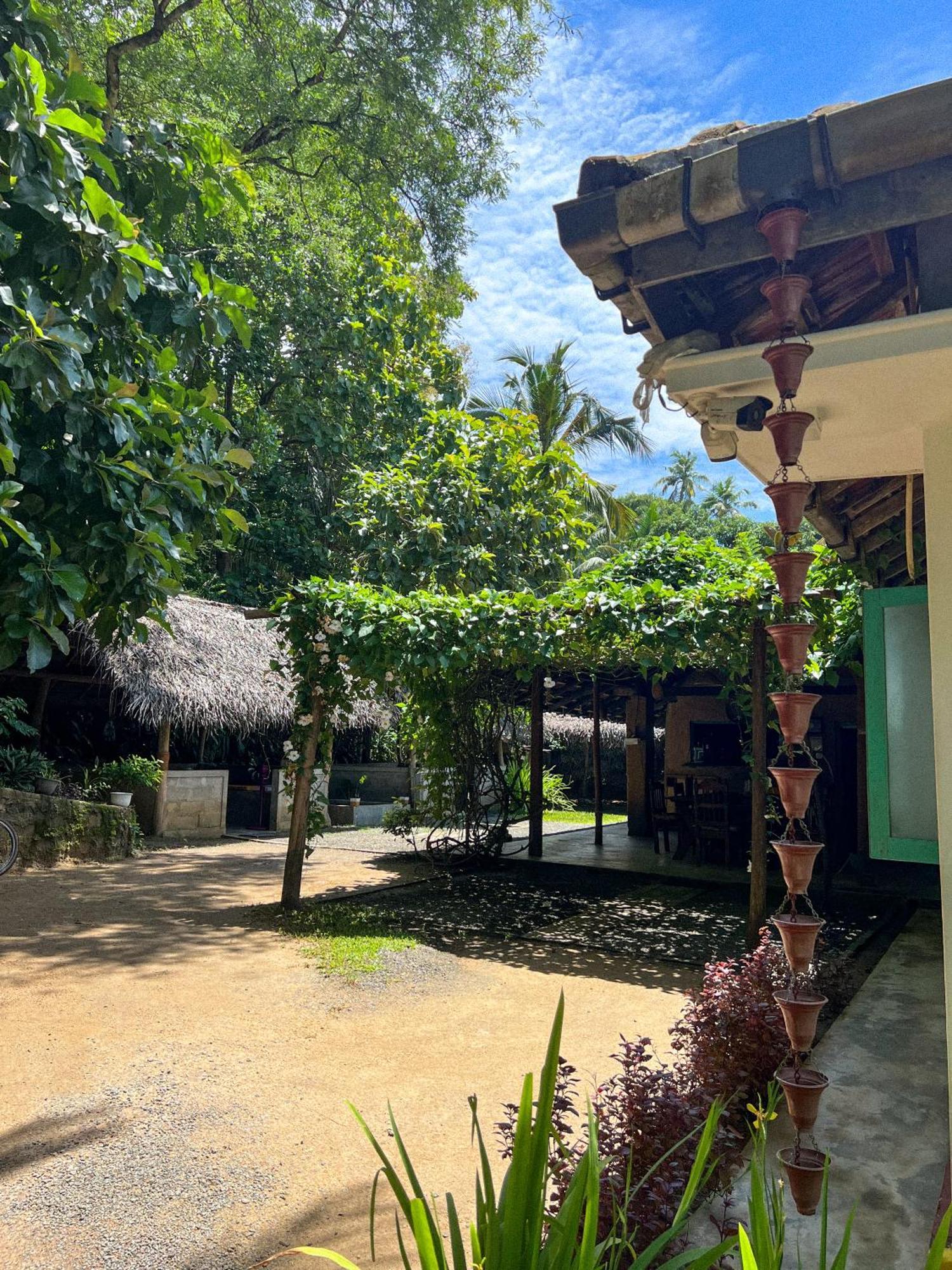 דיקוולה Lazy Monkey Surfhostel - Sri Lanka מראה חיצוני תמונה