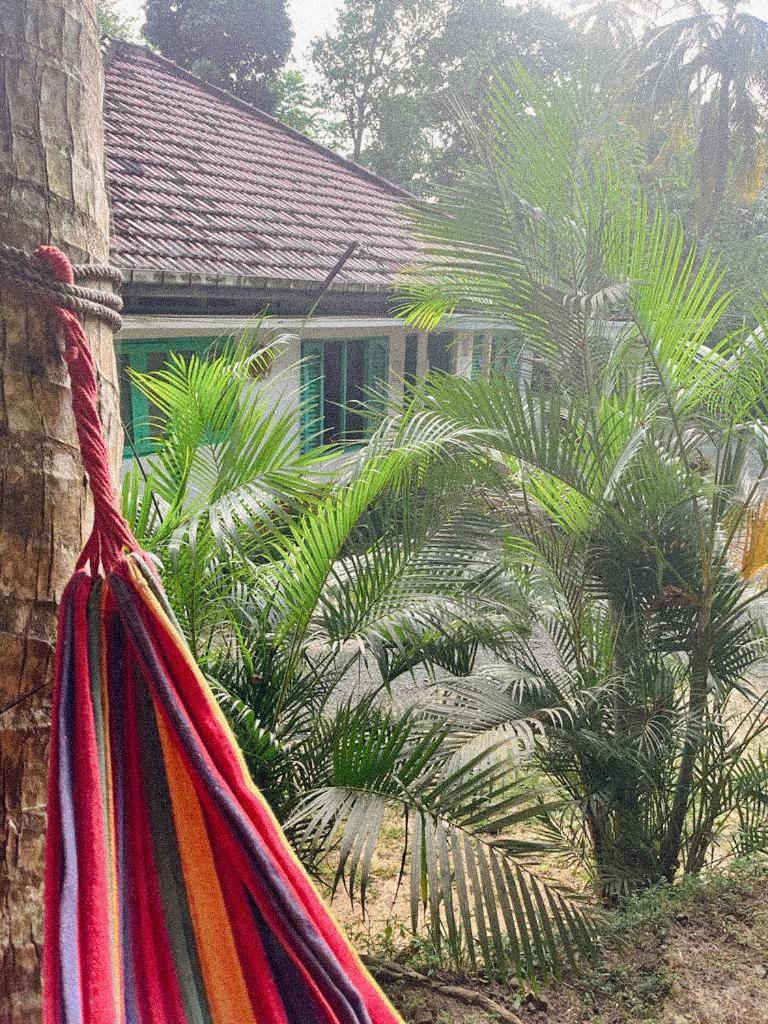 דיקוולה Lazy Monkey Surfhostel - Sri Lanka מראה חיצוני תמונה